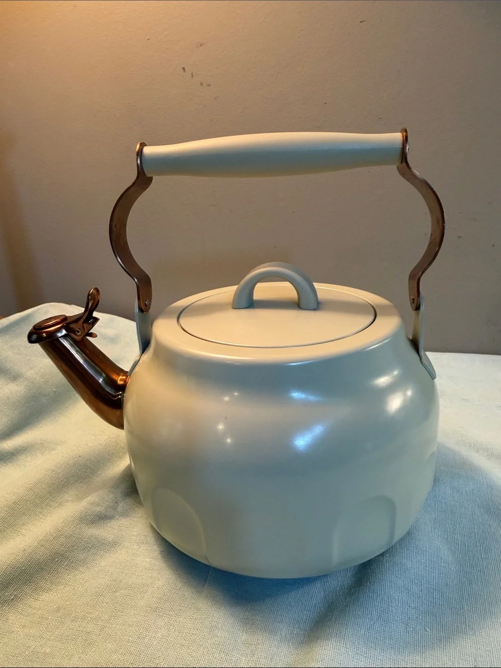 Hearth& Hand Magnolia Stainless whistling tea pot 🫖 kettle sage green